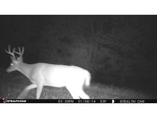Property photo 78 - LAND AUCTION - 1,682+/- ACRES OFFERED IN 17 TRACTS IN LEWIS & GREENUP COUNTIES, KENTUCKY